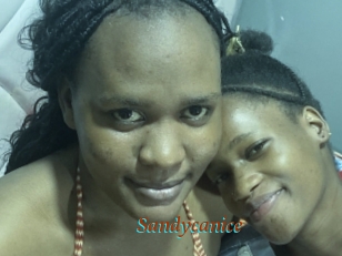 Sandycanice