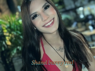 Shanel_bunny_real