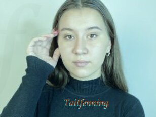 Taitfenning