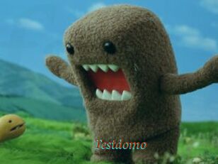 Testdomo