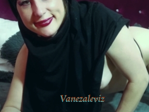 Vanezaleviz