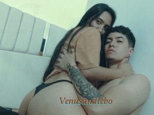 Venusandtebo