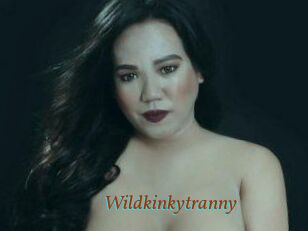 Wildkinkytranny